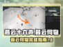 燕云十六声🔥暮云何物完成指南，速来！