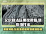 艾尔登法环黑夜君临打法攻略💡格诺斯塔速通秘籍🔥