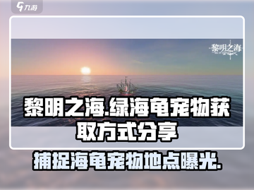 黎明之海💥绿海龟宠物获取方式大揭秘！✨截图1
