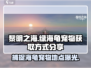 黎明之海💥绿海龟宠物获取方式大揭秘！✨