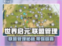 世界启元联盟管理🔥攻略大全，手游霸主必看！