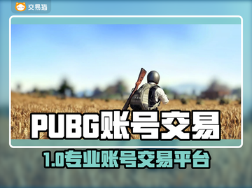  PUBG账号交易TOP平台大揭秘🔥🎮截图1