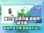 魔力宝贝复兴版🔥螳螂养成秘籍，快速培养攻略！