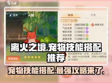 离火之境🔥宠物技能搭配推荐，超强攻略等你来拿！截图1