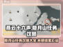 燕云十六声🔥隐月山任务全攻略🌟