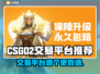 CS:GO账号交易哪家强？🔥安全平台推荐！🎮