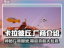卡拉彼丘🔥厂商大揭秘！游戏背后的故事你绝对想不到！