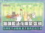 猫咪vs汤花椰菜🔥《猫咪》游戏里你猜不到的秘密！
