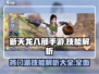 新天龙八部手游🔥各门派技能大揭秘！