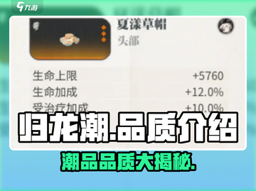 归龙潮潮品品质大揭秘！游戏玩家必看🔥截图1