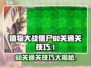 植物大战僵尸杂交版60关🔥通关秘籍⚡