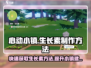 心动小镇🌱生长素制作攻略，快速获取方法大公开！
