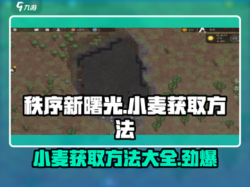 秩序新曙光✨：小麦获取方法大揭秘！💥截图1