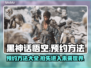 黑神话悟空预约方法🔥手游玩家必看！🎮