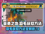 英勇之地🔥羽毛获取秘籍✨玩家必看！