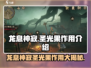 原神：龙息神寂圣光果✨作用大揭秘！