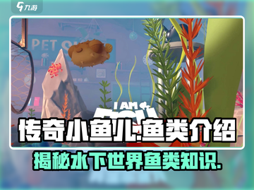 【天刀手游】小鱼儿的神秘鱼种大揭秘🐠截图1