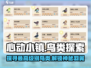 心动小镇🔥最高级神鸟大揭秘！🐦🎮