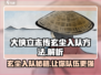 大侠立志传🔥玄尘入队方法曝光，快速加入队伍秘籍！