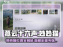 燕云十六声💡妙妙猫隐藏地点大曝光！速来打卡✔