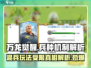 万龙觉醒💥：不能混兵的真相揭秘！🔥