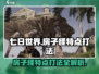 七日世界房子怪打法🔥超详细攻略带你快速上手🎮