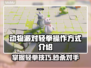 动物派对轻拳操作🔥掌握技巧秒变高手🎮