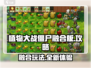 植物大战僵尸融合版🔥玩法超FUN！brains Leakage？