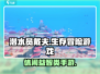 潜水员戴夫手机版🔥超沉浸模拟游戏体验✨
