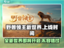 野兽领主新世界💥上线时间曝光，不容错过的游戏🔥