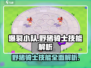 爆裂小队🔥野猪骑士技能超详解，强度逆天必看！🎮