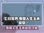 《七日世界》雪国人生玉米获取攻略💎