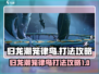 归龙潮笼律鸟打法🔥游戏名必备攻略🎉