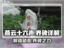 燕云十六声🔥界碑作用全解，必看攻略！