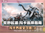 荒野起源🔥玛卡选择与养成终极指南！🎮