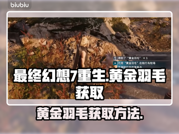 最终幻想7重生：黄金羽毛获取攻略✨截图1