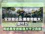 艾尔登法环黑夜君临！大树守卫真相揭露⚡
