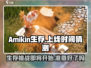 🔥Amikin生存上线时间大猜想🎮什么时候才能玩到？