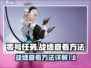 零号任务✅战绩查看方法，游戏玩家必看！