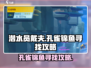 潜水员戴夫📖孔雀锦鱼📍寻找攻略来啦！
