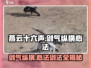 燕云十六声🔥剑气纵横心法剑法全揭秘🎮