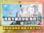 龙族卡塞尔之门零🔥角色攻略与人物介绍✨
