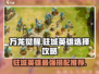 万龙觉醒🔥驻城英雄最强搭配攻略来啦！