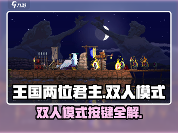 🎮王国两位君主双人模式爆肝攻略！截图1