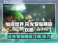 仙剑世界✨捕捉闪光宠物超全攻略来啦！