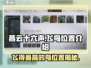 燕云十六声🔥飞得最高的鸟位置大起底！👇