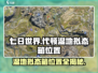 七日世界代顿湿地拟态箱位置🔥速来看！🎮