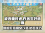 《波西亚时光》许医生好感度爆增秘籍🔥