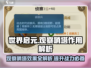 世界启元🔥观察哨塔超全效果解析！必看⚡