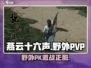 燕云十六声：野外PVP🔥，想打架的快来！🎮